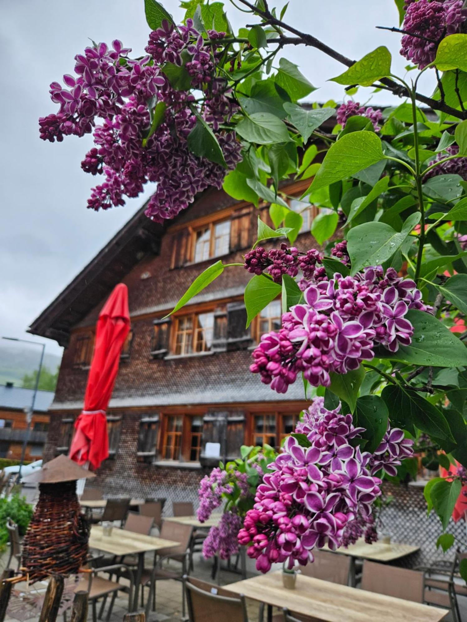 Naze'S Hus Mellau Hotel Luaran gambar